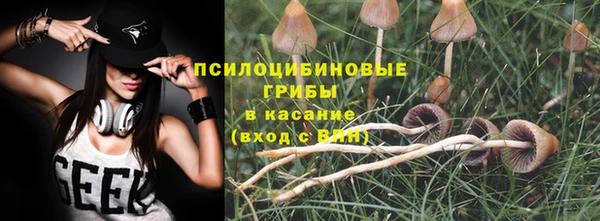 дмт Баксан