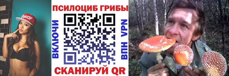OMG tor  Новотроицк  Галлюциногенные грибы MAGIC MUSHROOMS 